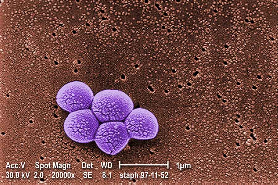 Cleaning supplies in San Marcos