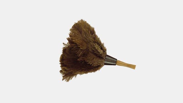 feather-dust_ostrich-13inch